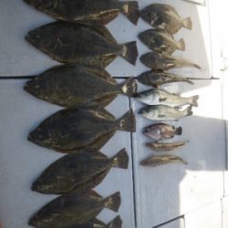 磯部釣船 直栄丸 釣果