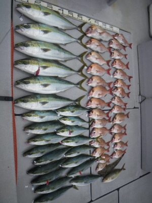 磯部釣船 直栄丸 釣果