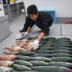 磯部釣船 直栄丸 釣果