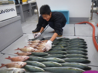 磯部釣船 直栄丸 釣果