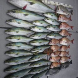 磯部釣船 直栄丸 釣果