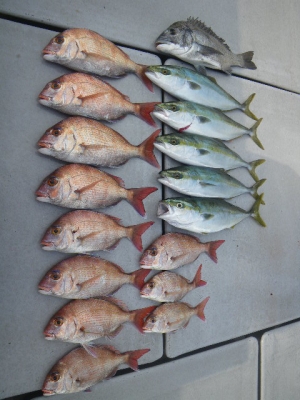 磯部釣船 直栄丸 釣果