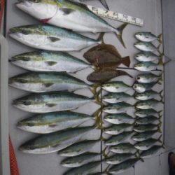 磯部釣船 直栄丸 釣果