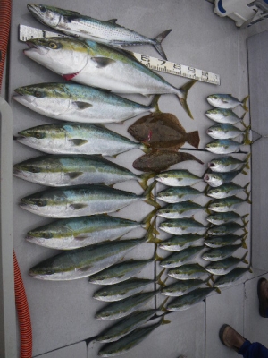 磯部釣船 直栄丸 釣果