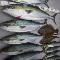 磯部釣船 直栄丸 釣果