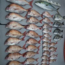 磯部釣船 直栄丸 釣果