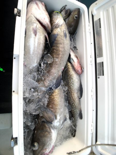 オーシャンズ 京都 釣果