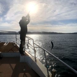 オーシャンズ　京都 釣果