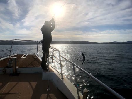 オーシャンズ　京都 釣果