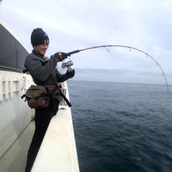 オーシャンズ　京都 釣果