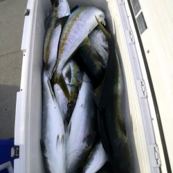 オーシャンズ　京都 釣果