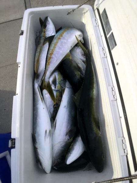 オーシャンズ　京都 釣果