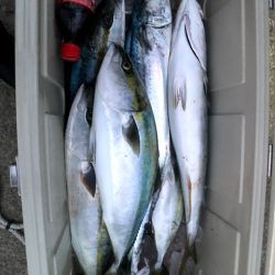 オーシャンズ　京都 釣果