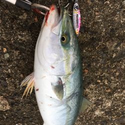 あらゆるターゲットに効くメタルジャッカーSJ　【LUMICA（ルミカ）メタルジャッカーSJ　インプレッション】