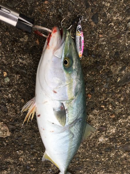 あらゆるターゲットに効くメタルジャッカーSJ　【LUMICA（ルミカ）メタルジャッカーSJ　インプレッション】