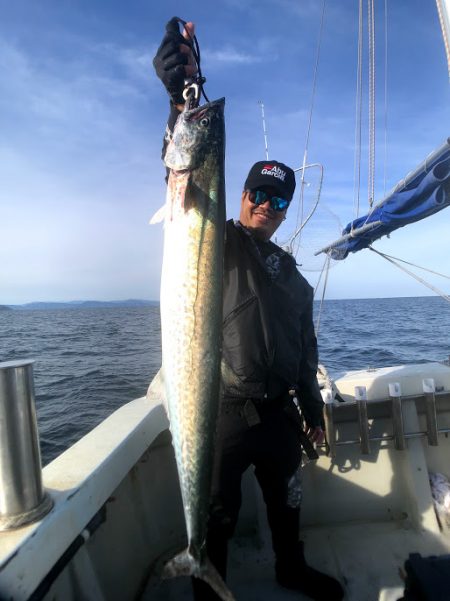 オーシャンズ　京都 釣果