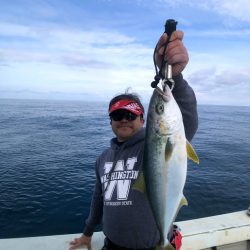 オーシャンズ　京都 釣果