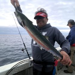 オーシャンズ　京都 釣果