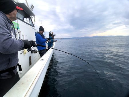 オーシャンズ　京都 釣果