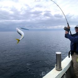 オーシャンズ　京都 釣果