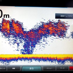 オーシャンズ　京都 釣果