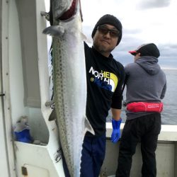 オーシャンズ　京都 釣果