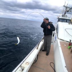 オーシャンズ　京都 釣果