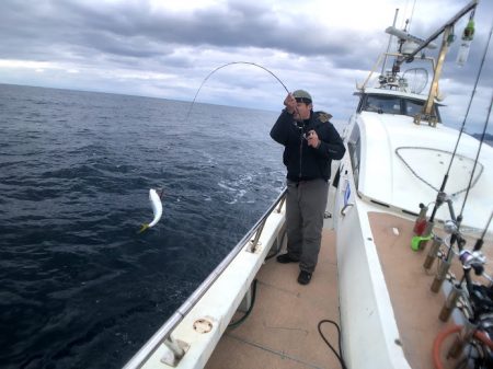 オーシャンズ　京都 釣果