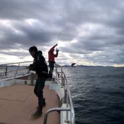 オーシャンズ　京都 釣果