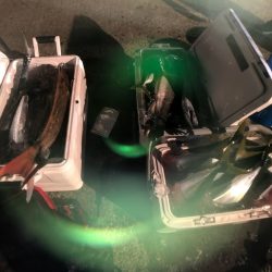 オーシャンズ　京都 釣果