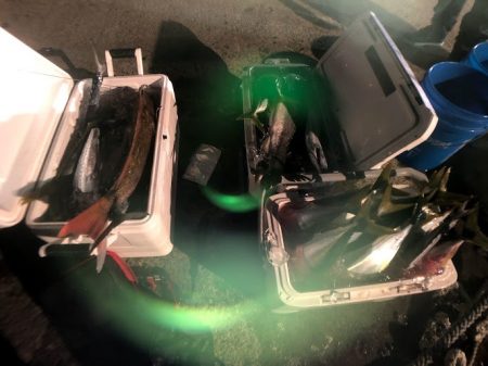 オーシャンズ　京都 釣果