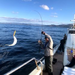 オーシャンズ 京都 釣果
