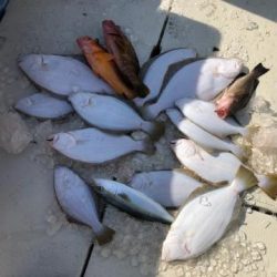 Sea Frend 片山丸 釣果