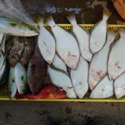 Sea Frend 片山丸 釣果