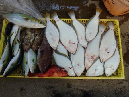 Sea Frend 片山丸 釣果