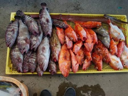 Sea Frend 片山丸 釣果