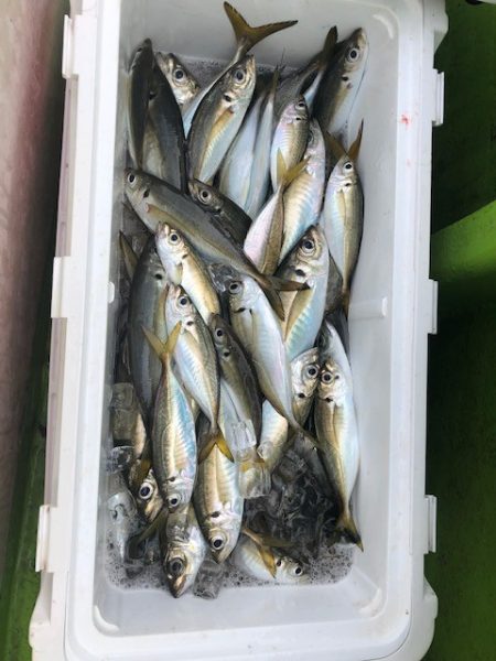 深川　吉野屋 釣果