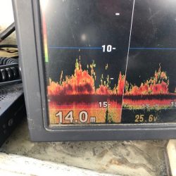 深川　吉野屋 釣果