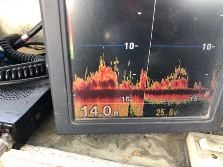 深川　吉野屋 釣果