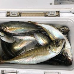 深川 吉野屋 釣果