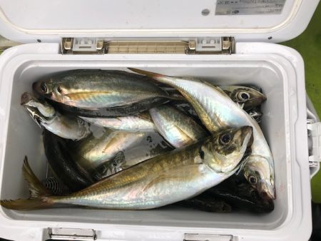 深川 吉野屋 釣果