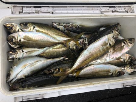 深川 吉野屋 釣果