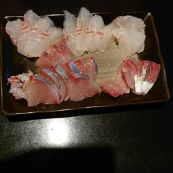 星隆丸 釣果
