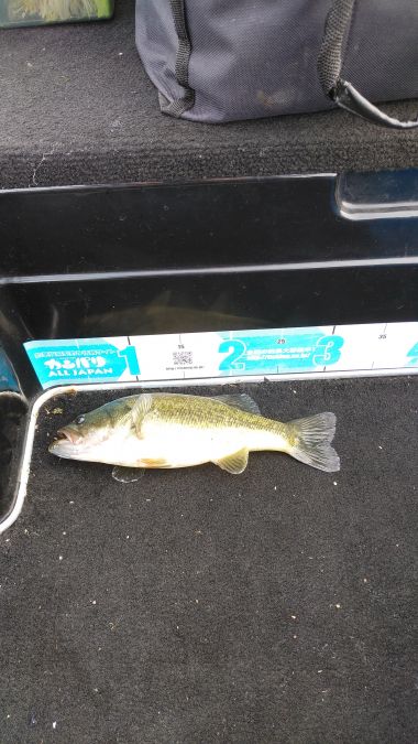 色々なルアーを投げるだけで楽しい！と言う事を思い出させてくれる、トライザ【メガバス（Megabass）トライザ　インプレッション】