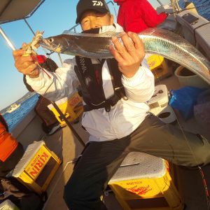 恵比寿丸（兵庫） 釣果