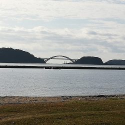 フィッシングボート空風(そらかぜ) 釣果