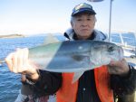 山本丸 釣果