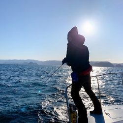 フィシングボートAir(エアー) 釣果