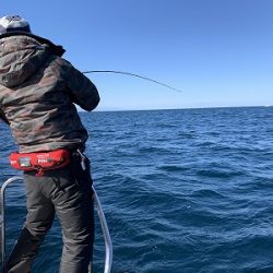 フィシングボートAir(エアー) 釣果