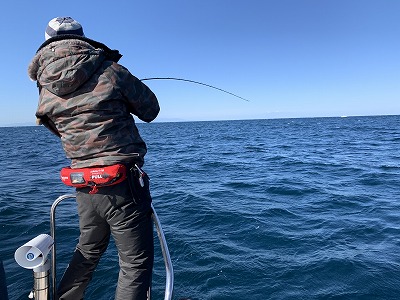 フィシングボートAir(エアー) 釣果